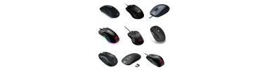 Souris